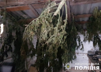 У двух жителей Баштанского района полиция Николаевщины изъяла почти 9 кг конопли