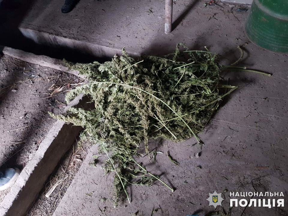 У двух жителей Баштанского района полиция Николаевщины изъяла почти 9 кг конопли 11