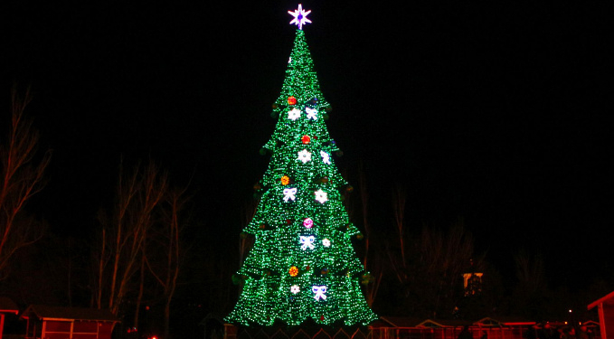 На Соборной площади установили главную в Николаеве новогоднюю елку