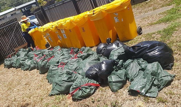 В Австралии из-за жары тысячами гибнут летучие мыши, люди бегут от невыносимой вони