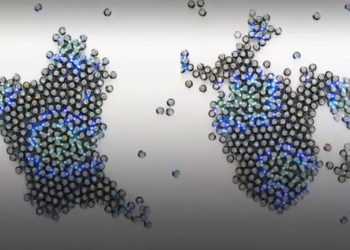 Ученые научили рой роботов действовать, как клетки в организме