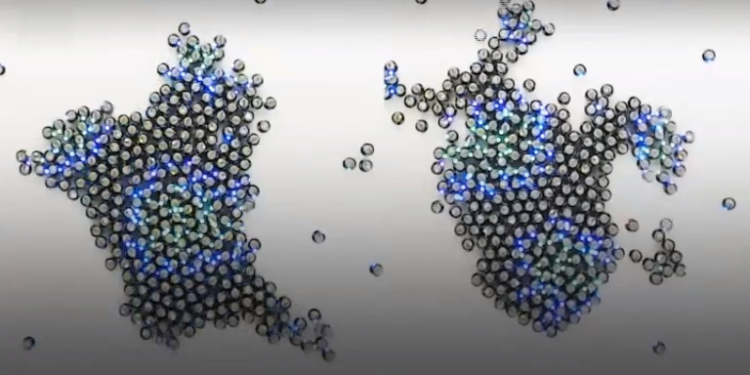 Ученые научили рой роботов действовать, как клетки в организме