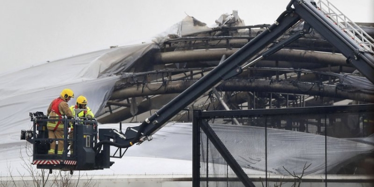 В англиском городе Честер горел зоопарк: погибли насекомые, рыбы и птицы