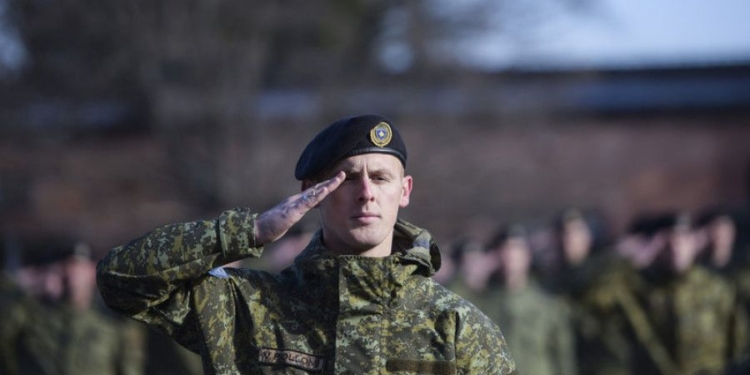 На заседании Совбеза ООН президенты Сербии и Косово обменялись обвинениями из-за косовской регулярной армии