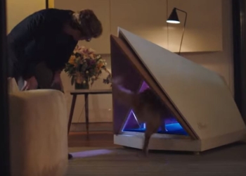 Свято наближається.  Ford представил собачью будку-убежище от фейерверков