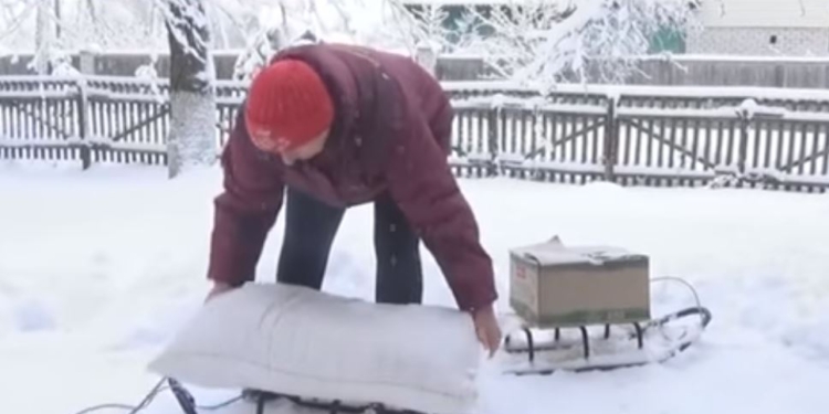 Впрягайся и скользи. Соцработникам в селах выдали санки