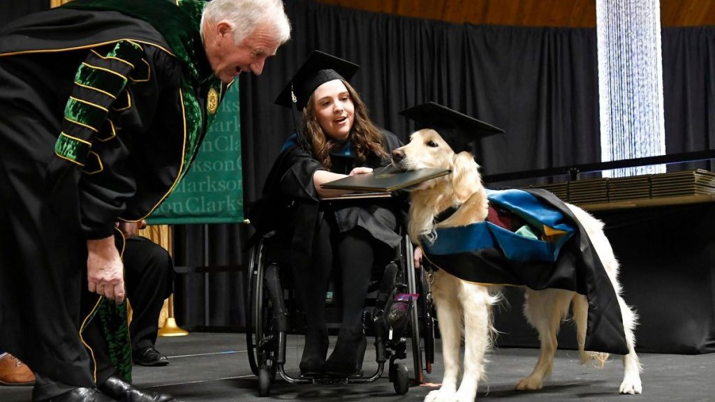 В США собака-поводырь получила диплом о высшем образовании 1