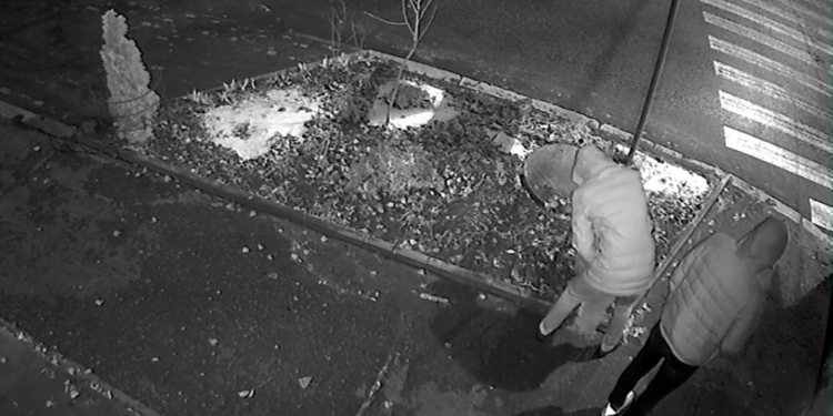 «Для наших дебилов и это не преграда»: в Николаеве вновь отличились вандалы. На этот раз сломали молодое дерево