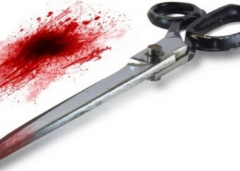 В Николаеве женщина заколола сожителя ножницами