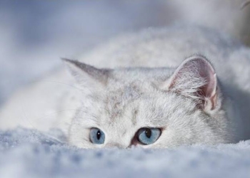 Завтра в Украине без осадков, температура до +3