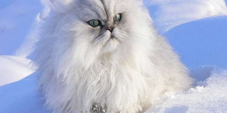 Завтра в Украине без осадков, температура до +3