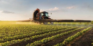 Почему не стоило запрещать свободную продажу земли, и чем это решение чревато для Украины