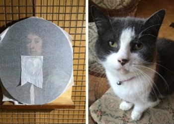 Любимый кот британского искусствоведа испортил картину ХVII века