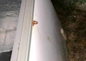 Трагическая случайность: в США погибли трое маленьких детей, задохнувшись в холодильнике