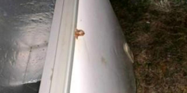 Трагическая случайность: в США погибли трое маленьких детей, задохнувшись в холодильнике