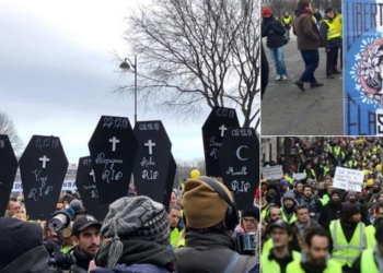 Полиция Парижа арестовала 12 человек за первые часы протеста “желтых жилетов”