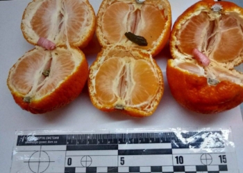 Это вам не апельсинки наколотые: мандарины, начиненные наркотиками, пытались передать в Николаевский СИЗО