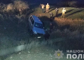 Ворам из Грузии, которых на Николаевщине задержала полиция вместе с фермерами, грозит до 12 лет тюрьмы