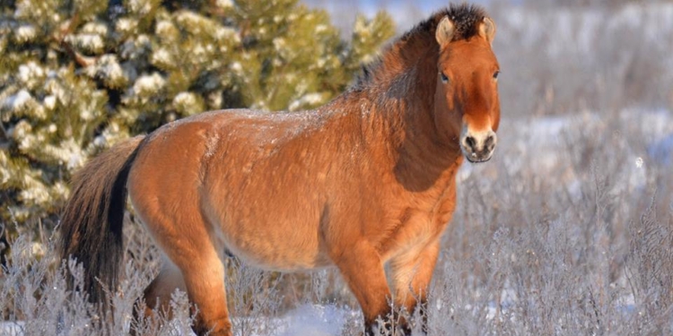 Они живут в зоне отчуждения и очень неплохо себя чувствуют