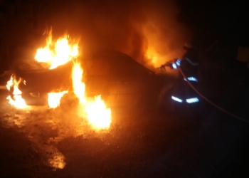 В Березнеговатом сгорел автомобиль