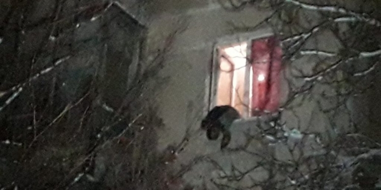 Взрыв гранаты в жилом доме Мариуполя: погиб сотрудник СБУ и его товарищ при попытке разобрать боеприпас