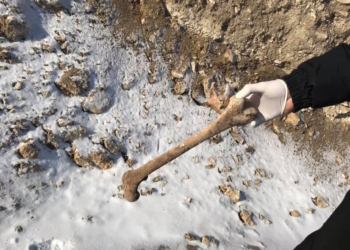 Наплевав на закон и мораль: в Николаеве незаконная стройка развлекательного центра в мкр. Соляные потревожила мертвых