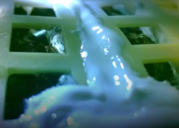 Китайцы уверяют, что вырастили хлопок на обратной стороне Луны