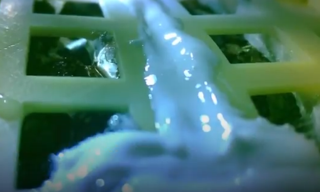 Китайцы уверяют, что вырастили хлопок на обратной стороне Луны