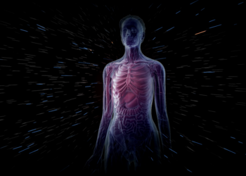 Ученые назвали шесть частей тела, которые человек больше не использует