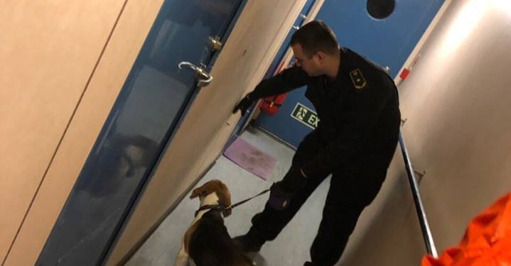 За 2018 год Николаевская таможня начала 218 дел о нарушении таможенных правил. И больше всего – по «евробляхам»