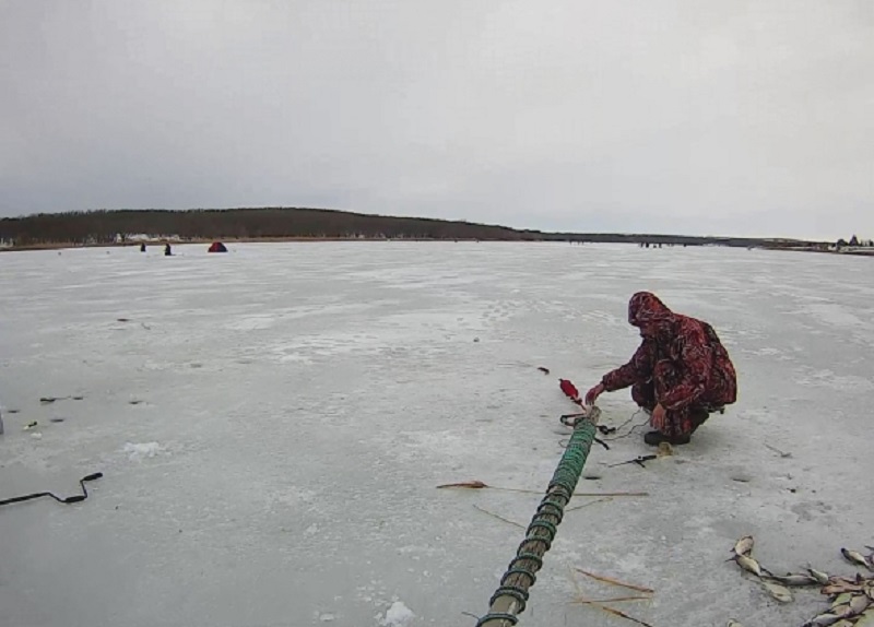 Видимо, клев был: на Софиевском водохранилище рыбаки добыли больше, чем 3 кг на 1 человека, за что были оштрафованы 3