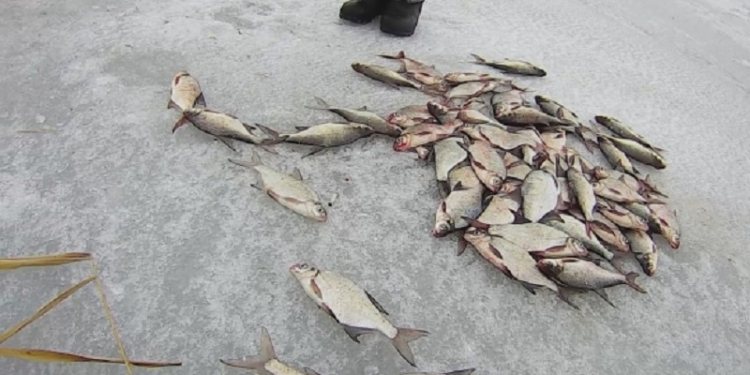 Видимо, клев был: на Софиевском водохранилище рыбаки добыли больше, чем 3 кг на 1 человека, за что были оштрафованы