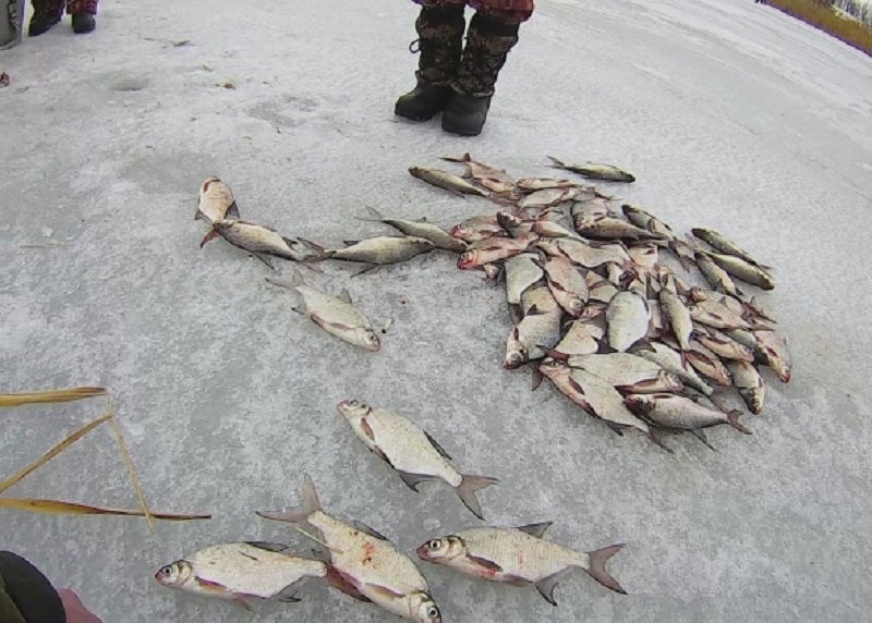 Видимо, клев был: на Софиевском водохранилище рыбаки добыли больше, чем 3 кг на 1 человека, за что были оштрафованы 5