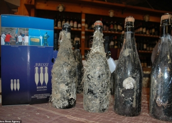 Альтернатива погребу: итальянский винодел выдерживает игристое вино до 5 лет в морских глубинах