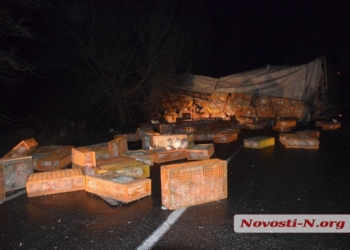 Шесть тысяч кур на трассе под Николаевом: на гололеде перевернулся грузовик