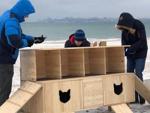 В Одессе на пляже установили домики для бездомных котов