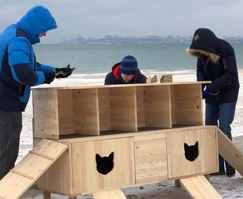 В Одессе на пляже установили домики для бездомных котов 5