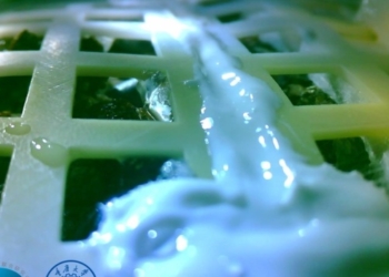 Хлопок, выращенный китайцами на обратной стороне Луны, погиб