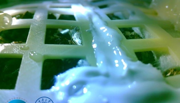 Хлопок, выращенный китайцами на обратной стороне Луны, погиб