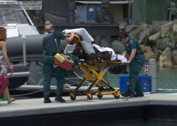 На одном из пляжей Австралии акула напала на отдыхающих