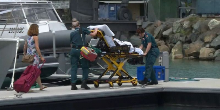 На одном из пляжей Австралии акула напала на отдыхающих