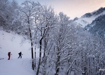 За сутки в Карпатах спасли шесть заблудившихся туристов