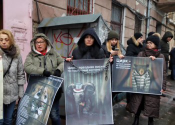 Пикет одесского цирка едва не завершился штурмом полицейского участка, куда доставили задержанных зоозашитников