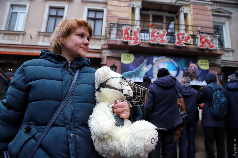 Киевский суд запретил в столице передвижные цирки-шапито с животными 1