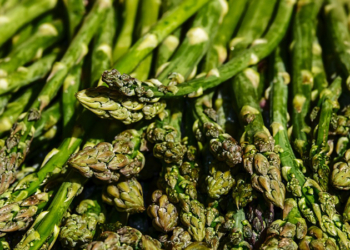 Спаржа на экспорт и виноград под пленкой. Что ждет украинский АПК