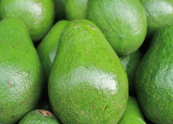 Распробовали. Украина удвоила импорт авокадо, и это не предел