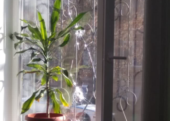 В херсонской газете “Новый день” распылили газ и устроили стрельбу