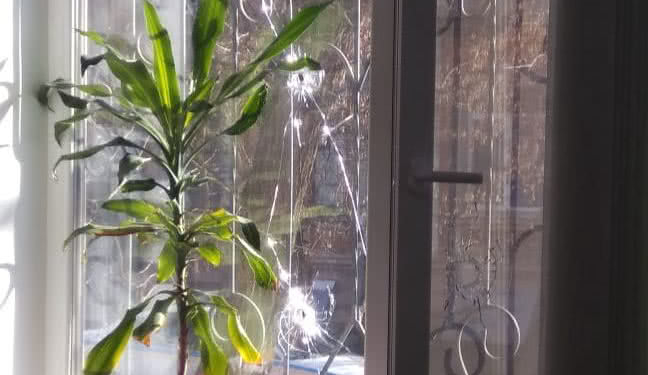 В херсонской газете “Новый день” распылили газ и устроили стрельбу