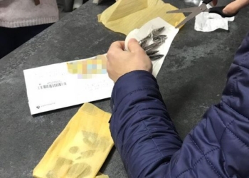 В Херсоне задержали контрабандиста: отправлял в РФ коллекцию предметов старины