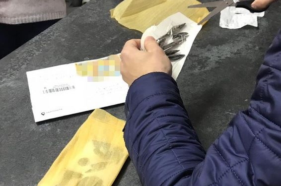 В Херсоне задержали контрабандиста: отправлял в РФ коллекцию предметов старины